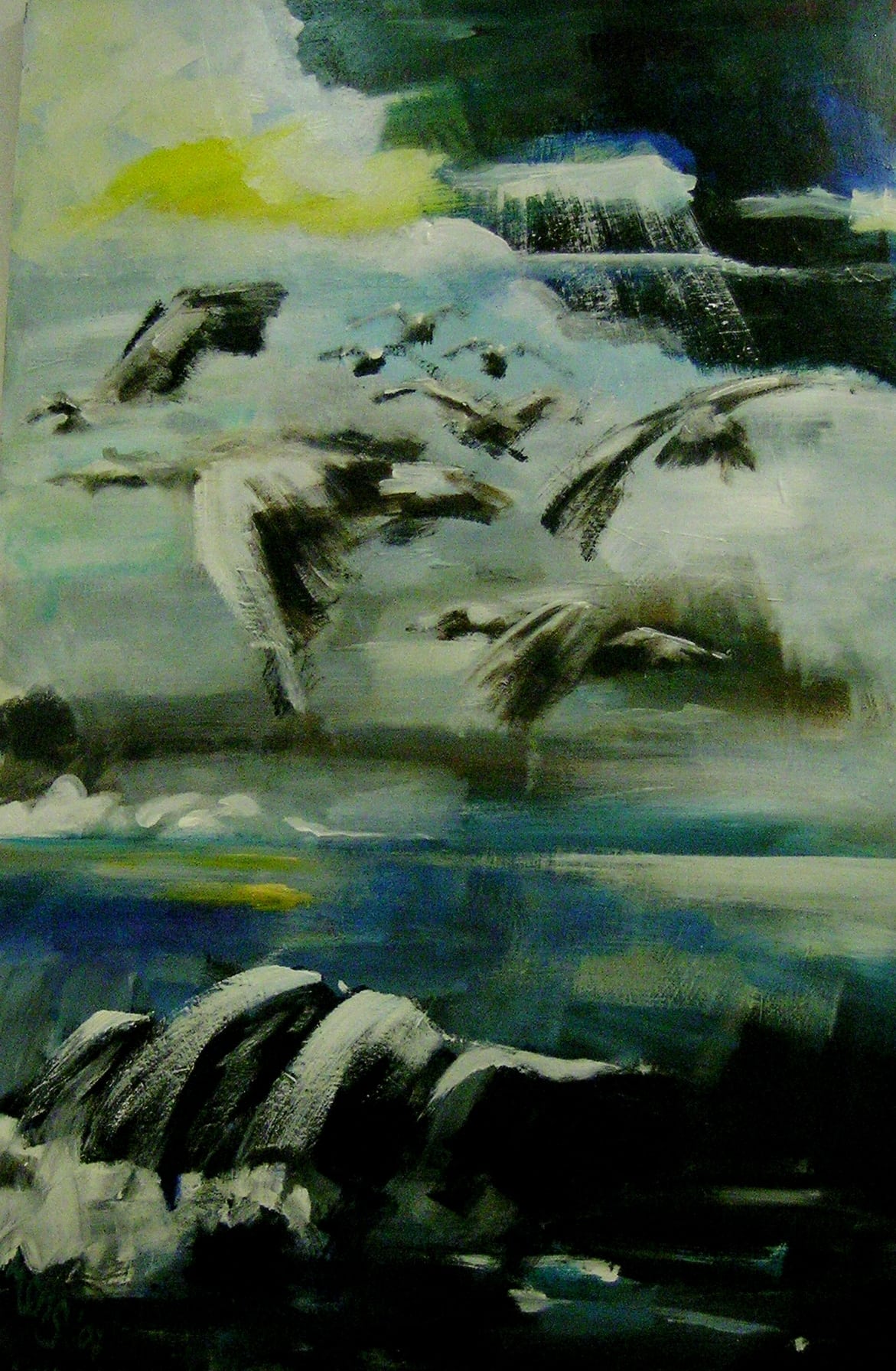 Stormvogels