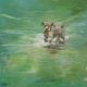 Jonge hond