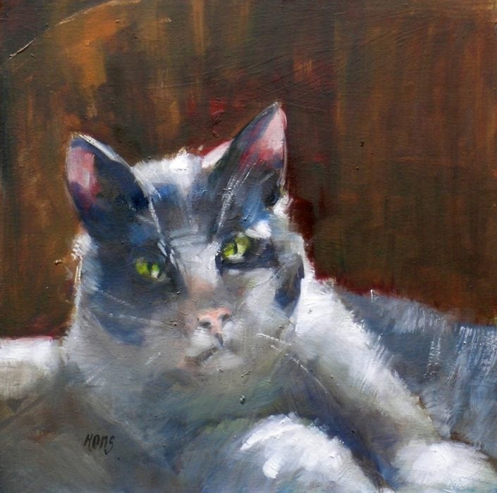 Portretje van een poes