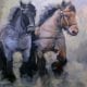 Belgische paarden